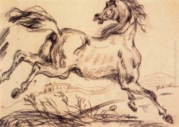 Un cavallo