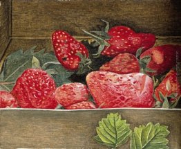 Fragole