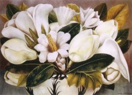 Magnolias