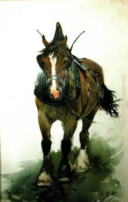 Cavallo