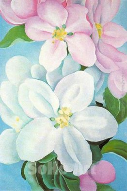 Fiori di melo
