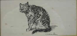 Gatto Binoche