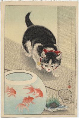 Gatto e ciotola Goldfish