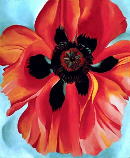 Red Poppy VI