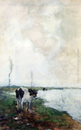 Una mucca in piedi in riva al fiume in un polder