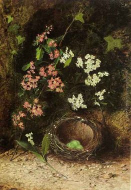 Still Life di Birds Nest con Primulas e Blossom