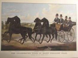 Il celebre Four in Hand Stallion Squadra Il celebre Four in Hand Stallion Squadra