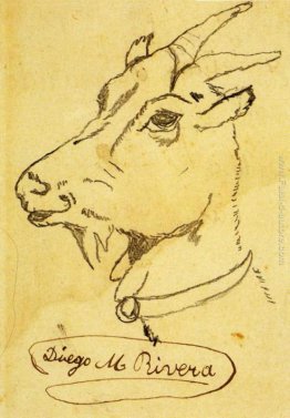 Testa di capra Testa di capra