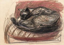 Schlafende Katze Schlafende Katze