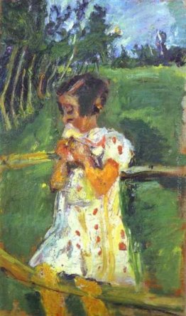 Ragazza alla rete fissa Ragazza alla rete fissa