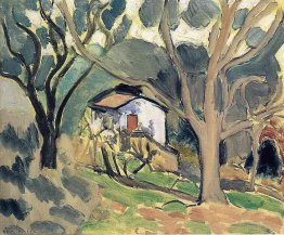 Paesaggio Paesaggio