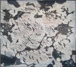 Titolo sconosciuto Titolo sconosciuto