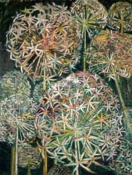 Fiori di estate Fiori di estate