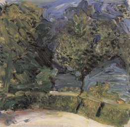 Terrapieno vicino Gmunden Terrapieno vicino Gmunden