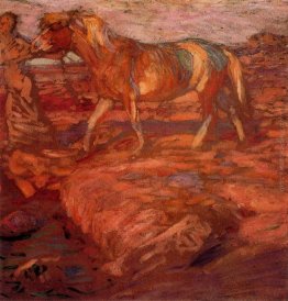 Donna e cavallo Donna e cavallo