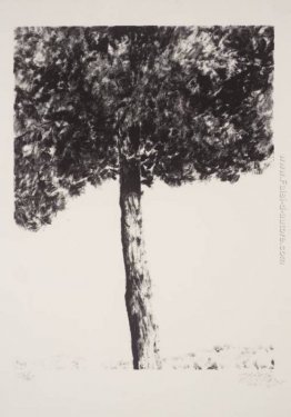 Gerusalemme Pine Gerusalemme Pine