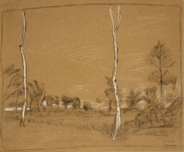 Paesaggio con alberi di betulla Paesaggio con alberi di betulla