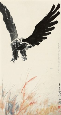 Aquila Aquila