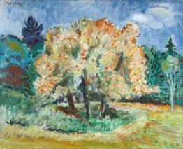 Tardo Pomeriggio: alberi e le nuvole di Apple Tardo Pomeriggio: alberi e le nuvole di Apple
