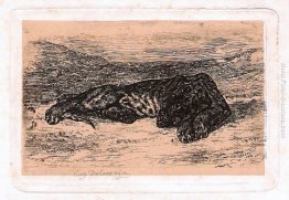 Panther Panther