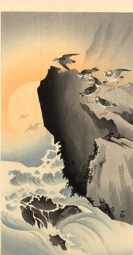 Piovanelli e Luna Piovanelli e Luna