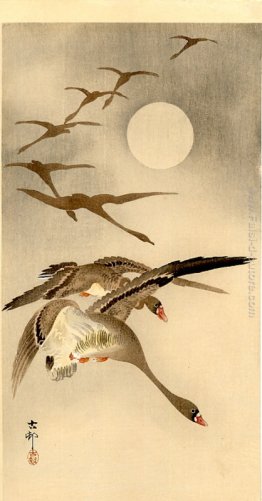 Otto petto bianco Oche in volo; Luna piena dietro Otto petto bianco Oche in volo; Luna piena dietro