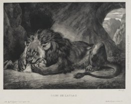 Leone dell'Atlante Leone dell'Atlante