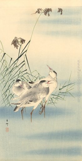 Sandpipers Sandpipers