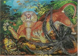 Leopard Leopard
