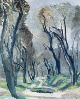 Viale di Ulivi Viale di Ulivi