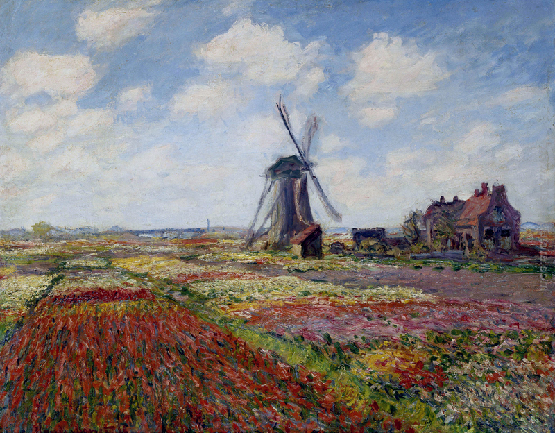 Campi di Tulip con il Rijnsburg Windmill