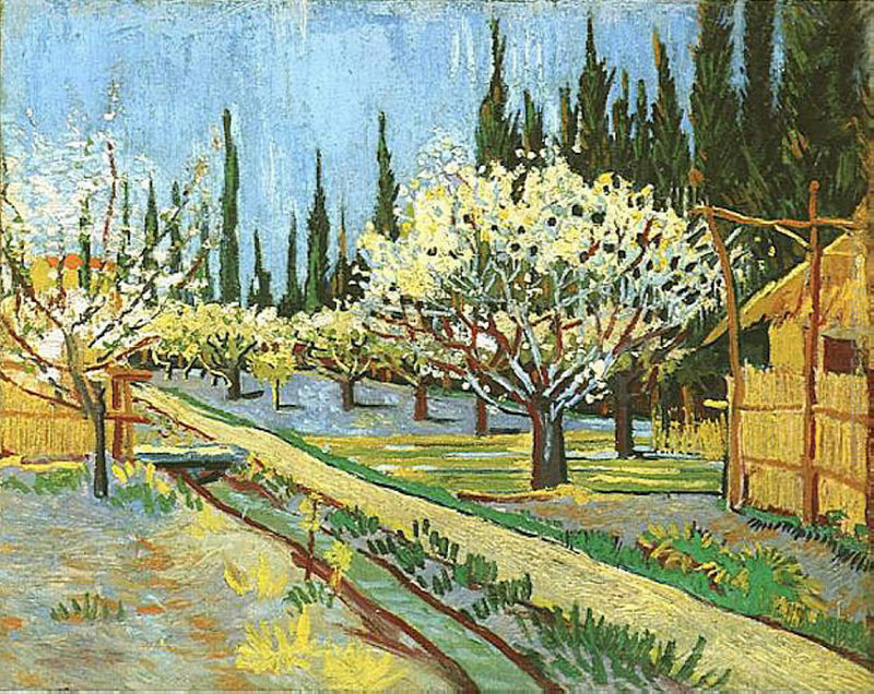 Frutteto In Fiore Confinante Con Cipressi Di Vincent Van Gogh In Vendita
