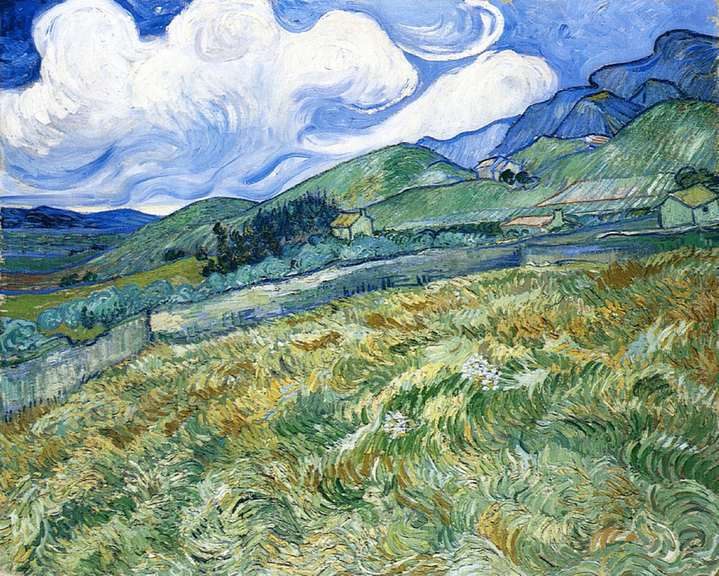 Campo di grano con le montagne sullo sfondo