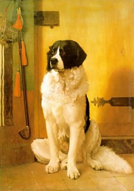 Studio di un cane Studio di un cane