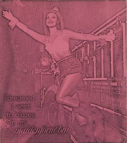 Ho sognato Sono andato a divampa nel mio Maidenform Bra (rosa) Ho sognato Sono andato a divampa nel mio Maidenform Bra (rosa)