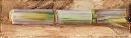 A Piece of Sugar Cane A Piece of Sugar Cane