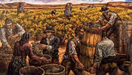 Vintage in Ribera del Duero Vintage in Ribera del Duero