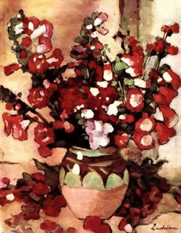 Bocca del Leone Bocca del Leone