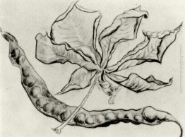 Dead Leaf e Pod Dead Leaf e Pod
