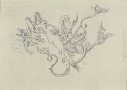 Tranformism Tranformism