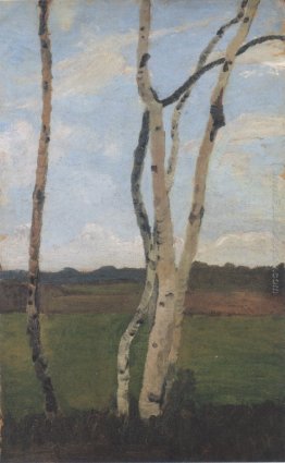 Paesaggio con tronchi di betulla Paesaggio con tronchi di betulla