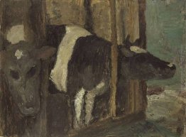 Cowshed Cowshed