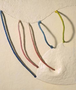 Le mele di domani (5 in bianco) Le mele di domani (5 in bianco)