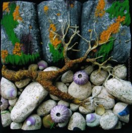 Radice (particolare) Radice (particolare)