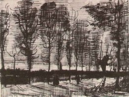 Lane, con Pioppi Lane, con Pioppi