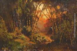 Paesaggio indonesiano Paesaggio indonesiano