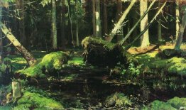 Vento alberi caduti Vento alberi caduti