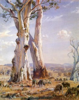Gengive bianche Gengive bianche