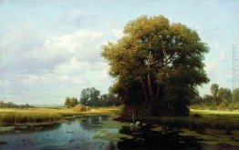 Paesaggio con palude Paesaggio con palude