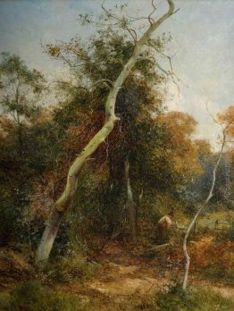 Rammendo il Recinto, Sutton Park Rammendo il Recinto, Sutton Park